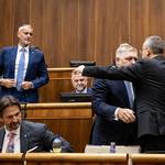 Brutálne škrty alebo bankrot. „Zvolíme si kúzelníkov?“ pýta sa rozpočtová analytička (videopodcast)