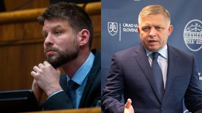 NOVÝ PRIESKUM: PS s jasným náskokom pred Smerom-SD, Republika atakuje 10 %. Do parlamentu by sa dostalo 7 strán