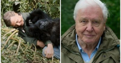 Keď tragicky prišiel o manželku, stratil kotvu. Ochranca planéty David Attenborough oslavuje 100 rokov