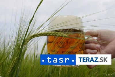 Jeden z najstarších nemeckých pivovarov podal návrh na konkurz