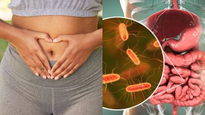 Črevá neovplyvňujú len trávenie. Odborníčka vysvetľuje, ako súvisia so srdcom aj stresom