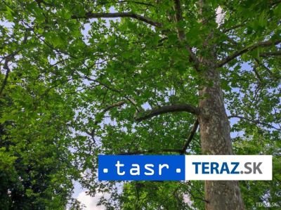 V parku v Košiciach odhalili pamätnú tabuľu mešťanostovi T. Münsterovi